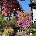 公寓 Bergchalet Mirabell - Hofgut *