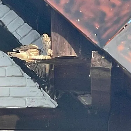 Bergchalet Mirabell - Hofgut Friedrichshafen