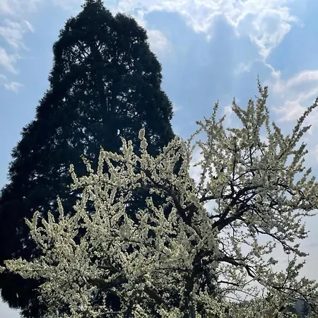 Lägenhet Bergchalet Mirabell - Hofgut