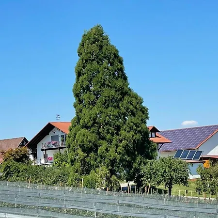 Apartment Bergchalet Mirabell - Obstgut Am Bodensee *
