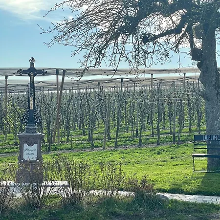 Apartment Bergchalet Mirabell - Obstgut Am Bodensee