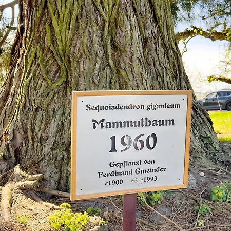 Bergchalet Mirabell - Hofgut * Friedrichshafen