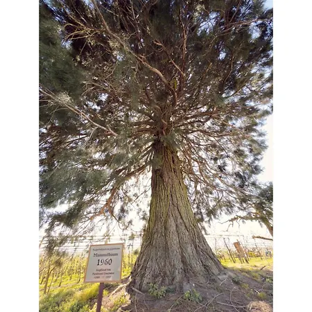 Lägenhet Bergchalet Mirabell - Hofgut *